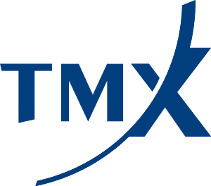 TMX teambuilding success